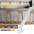 Lampe LED Rechargeable avec Détecteur De Mouvement Intérieur 3 Modes 40CM image 0