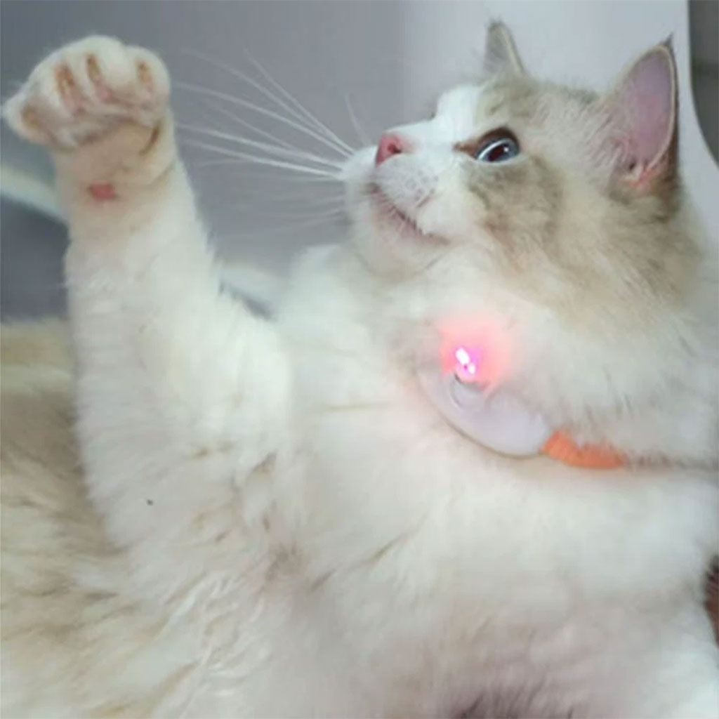 Collier de Jeu Interactif pour Chats : Éveil et Plaisir Rechargeable