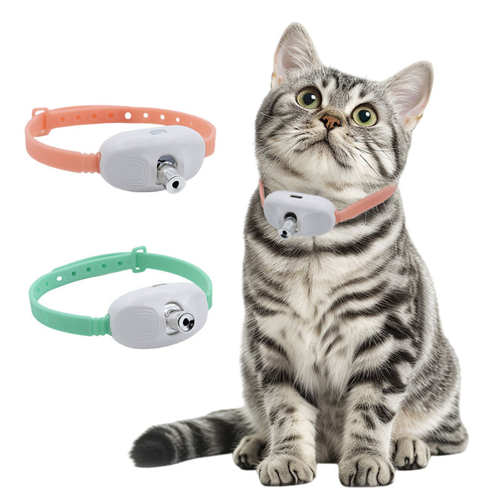 Collier de Jeu Interactif pour Chats : Éveil et Plaisir Rechargeable