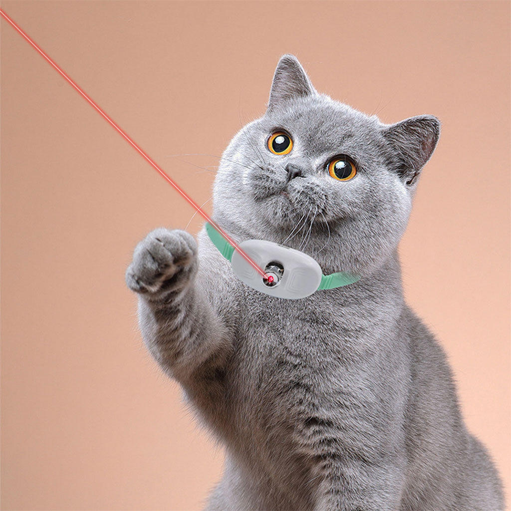 Collier de Jeu Interactif pour Chats : Éveil et Plaisir Rechargeable
