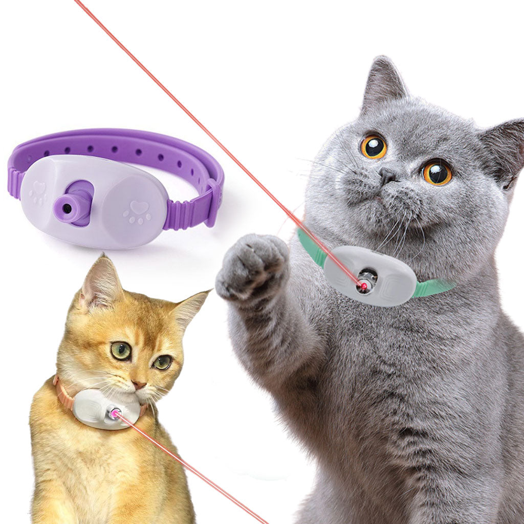 Collier de Jeu Interactif pour Chats : Éveil et Plaisir Rechargeable